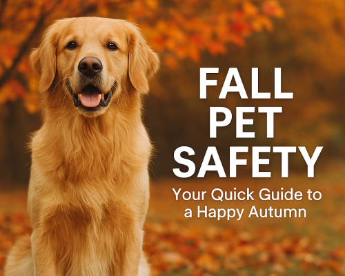 ChatGPT Image Nov 11, 2025, 01_55_33 PM