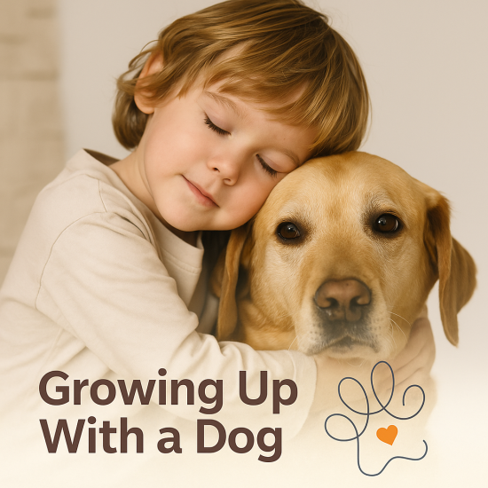 f2127f15-513f-49d8-8ea2-843bb5d022d1