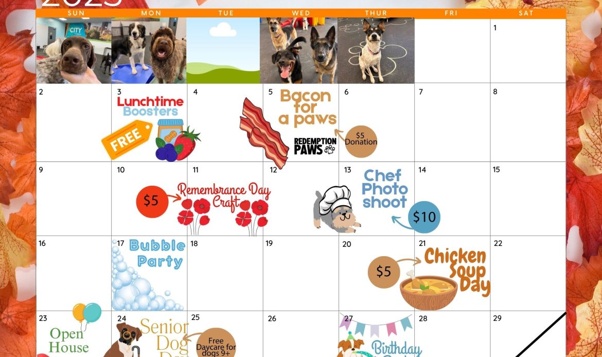A calendar of fun events happening in November at a Mississauga dog daycare, boarding, and spa facility