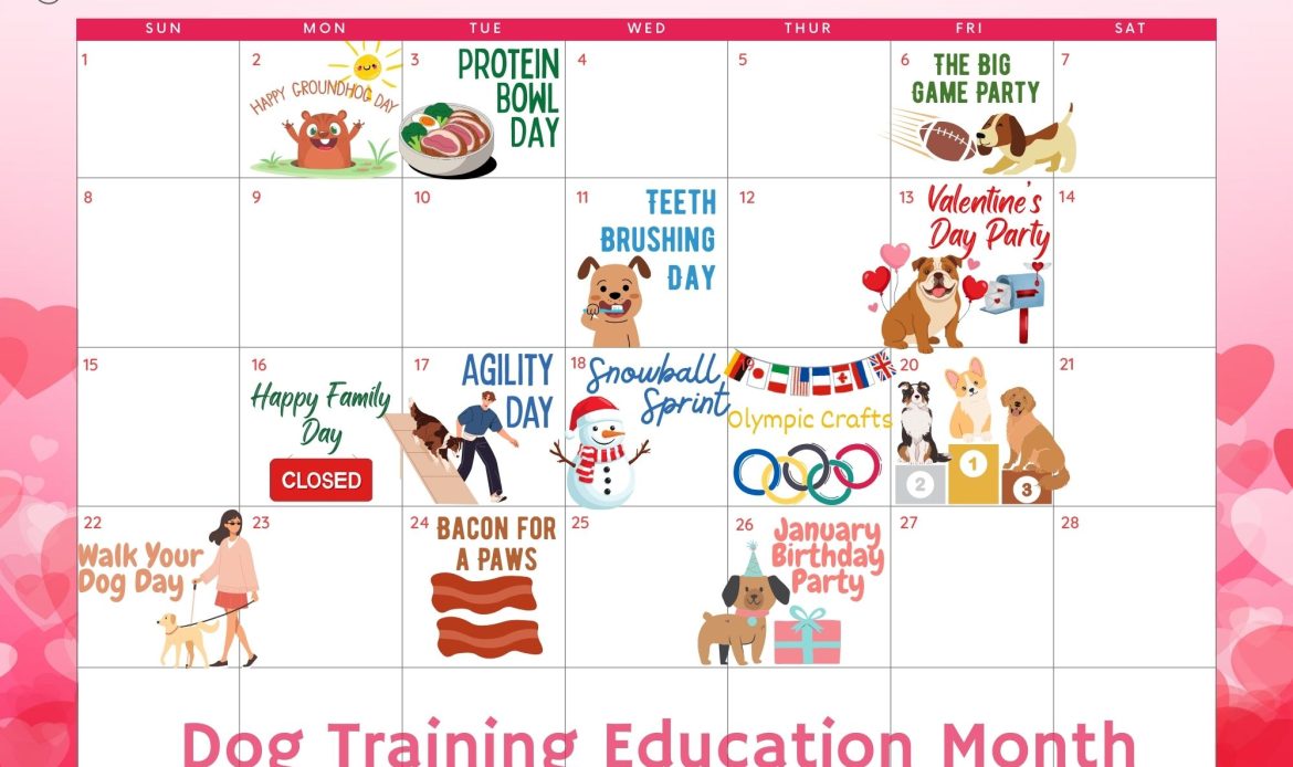 Calendar listing fun dog events taking place at a dog daycare in the Oakville and Mississauga area