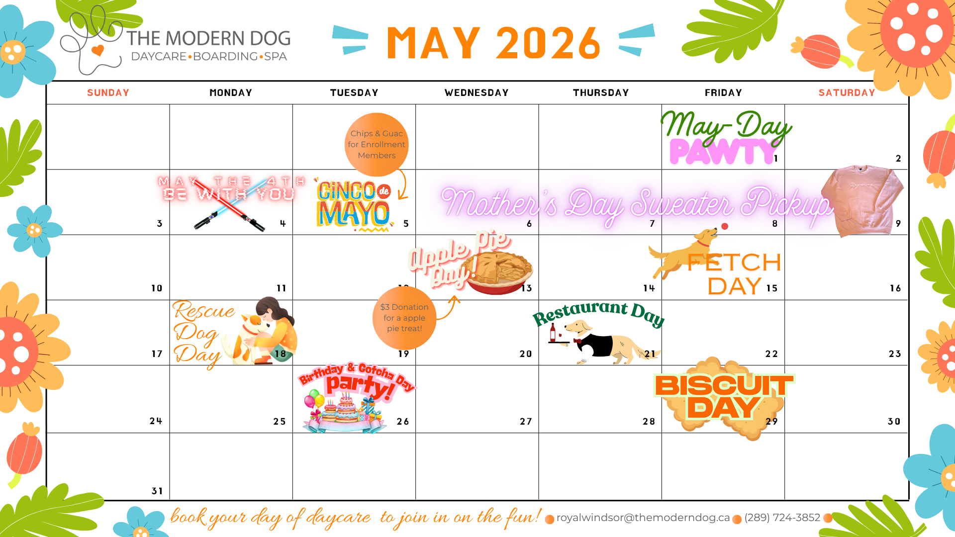 A calendar of fun events taking place at a dog daycare and boarding facility in southwest Mississauga and Oakville